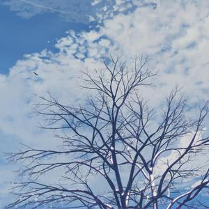 人妻熟女视频二区视频一区
